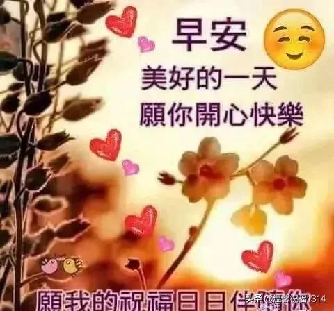 直击简析 第20页