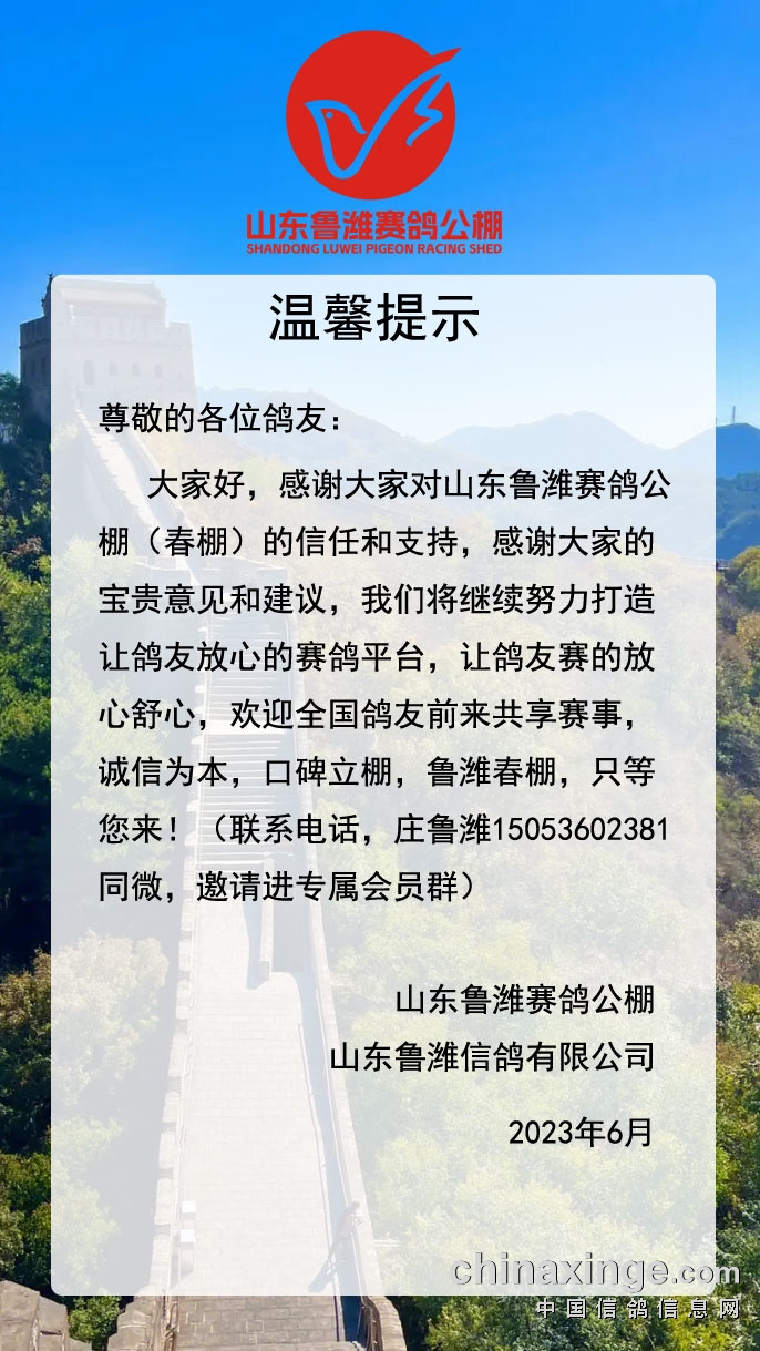 山东鲁成公棚最新动态发布：官方公告解读与重要信息速览